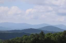 Misty Mtn Murphy