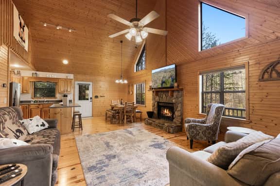 The Cabin Kingdom